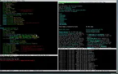 Текстова конзола на Linux: редактор с програмен код, уеб страница в текстов режим и списък с файлове